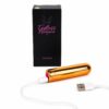 Golden Bullet Vibrator with box and charging cable