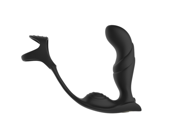 Dual Cock Ring and Anal Massager