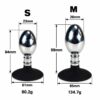 Stainless Steel Butt Plug with Silicone Suction Base