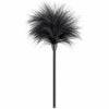 Black Feather Tickler(1) Black Feather Tickler(1)